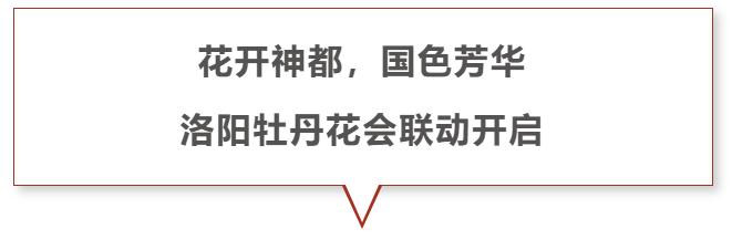  御龙在天洛阳文化合作 _御龙在天配置要求_御龙在天三界争锋版本 